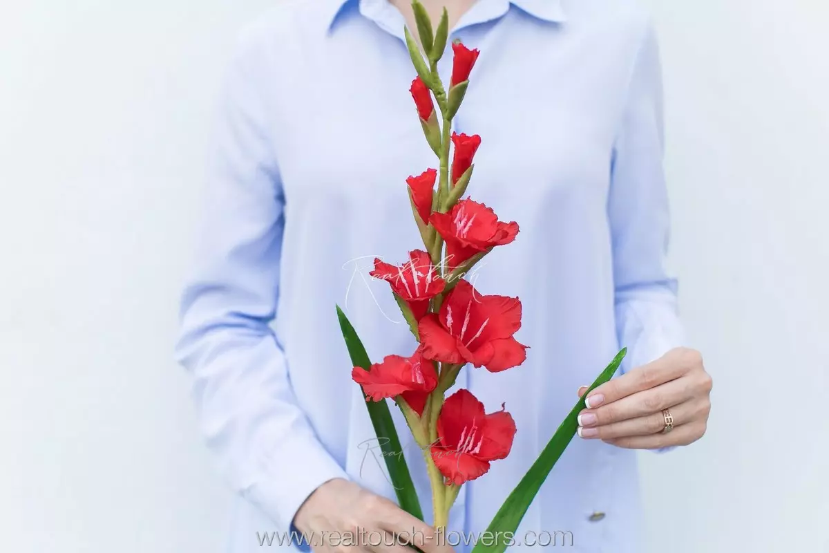 Гладиолус - Красный