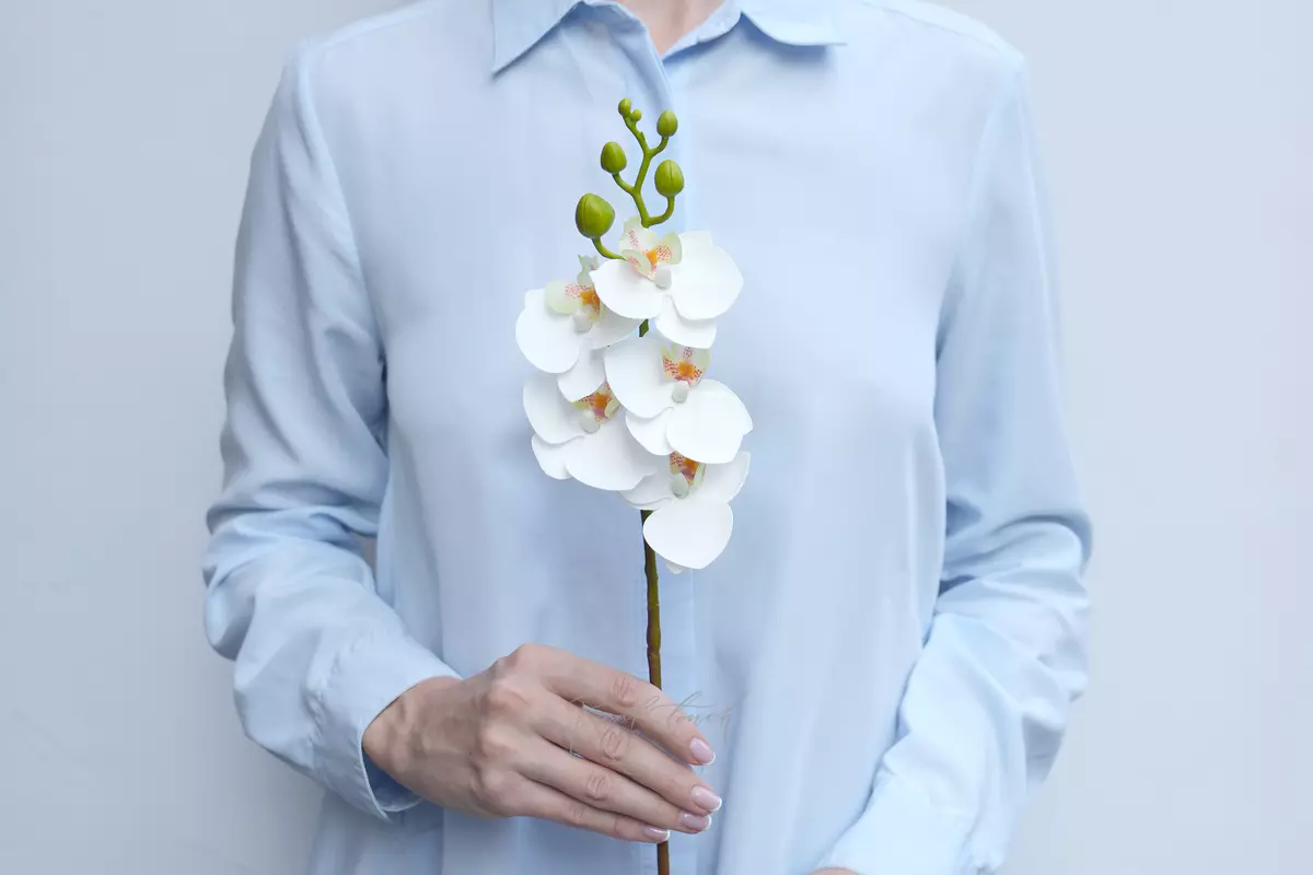 Орхидея фаленопсис малая (1 ветка 5 соц.)  - Белый