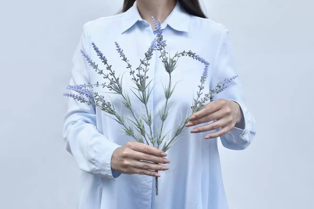 Лаванда широколистная - Фиолетовый Лаванда широколистная - Фиолетовый