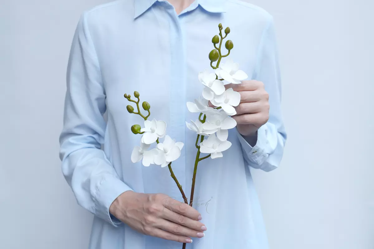 Орхидея фаленопсис малая (2 ветки 10 соц, моно) - Белый