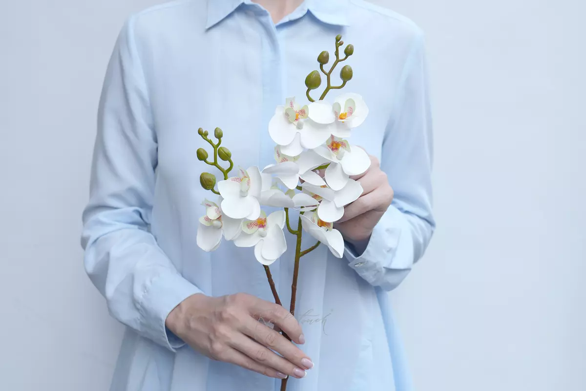 Орхидея фаленопсис малая (2 ветки, 10 соц.)  - Белый