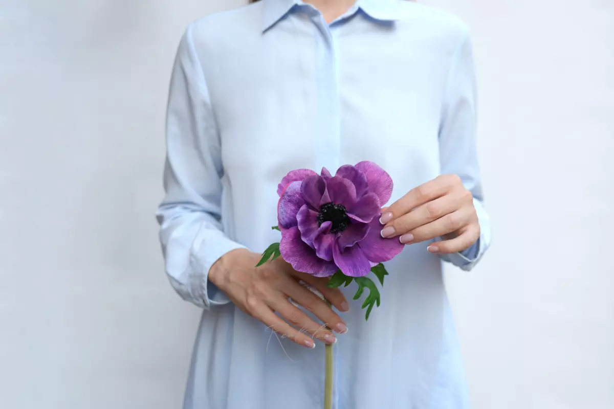 Анемона Де Каен - Темно-фиолетовый