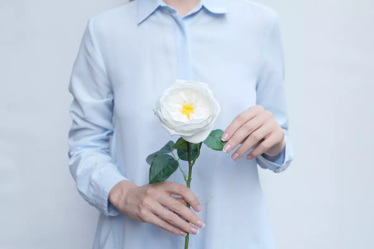 Роза Дэвида Остина Пилигрим малая - Белый