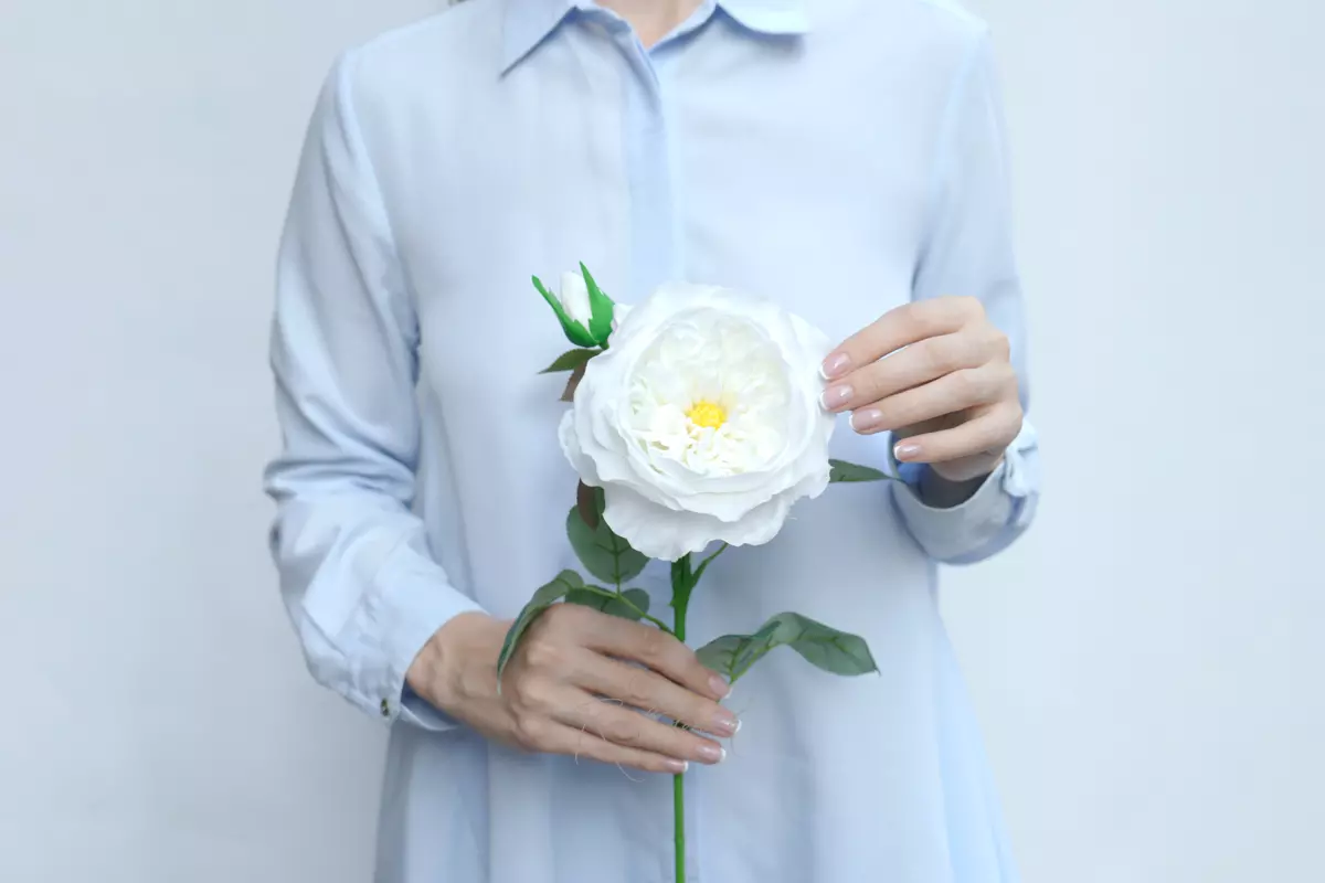 Роза Дэвида Остина Пилигрим крупная - Белый