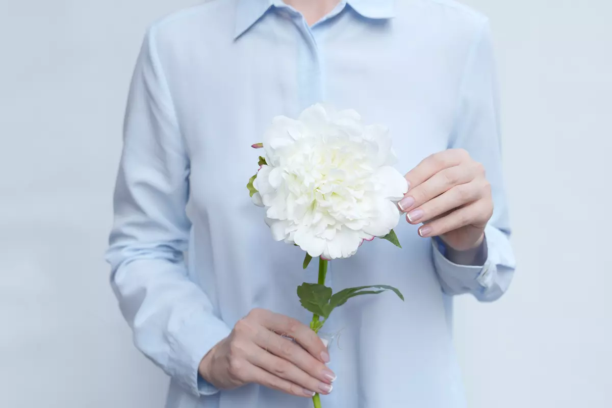 Пион Махровый - Белый