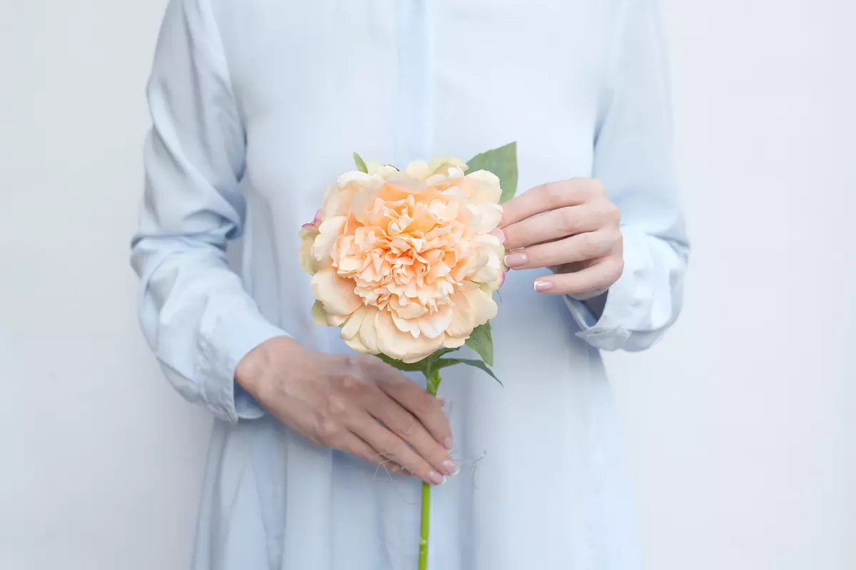 Пион Махровый - Шампань Пион Махровый - Шампань