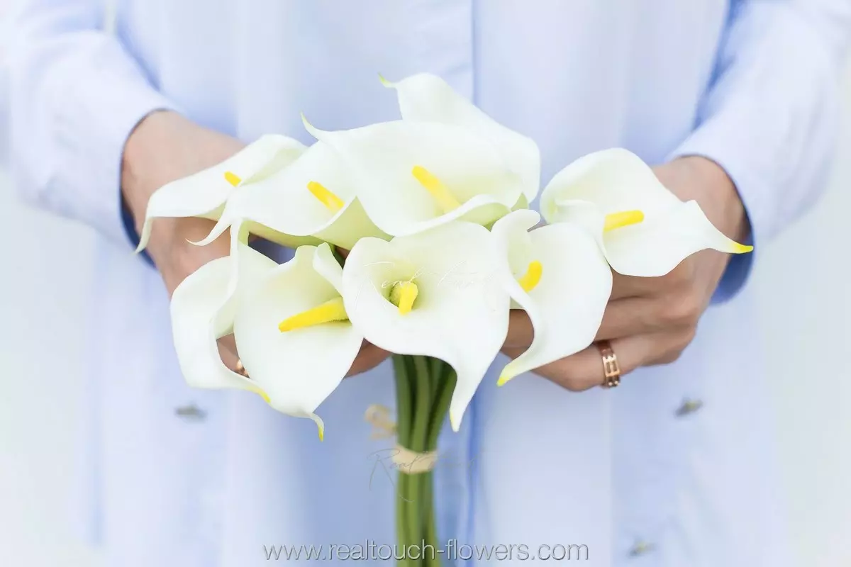 Букет калл 9 штук - Белый