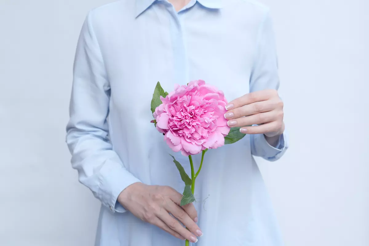 Пион Махровый - Розовый Пион Махровый - Розовый