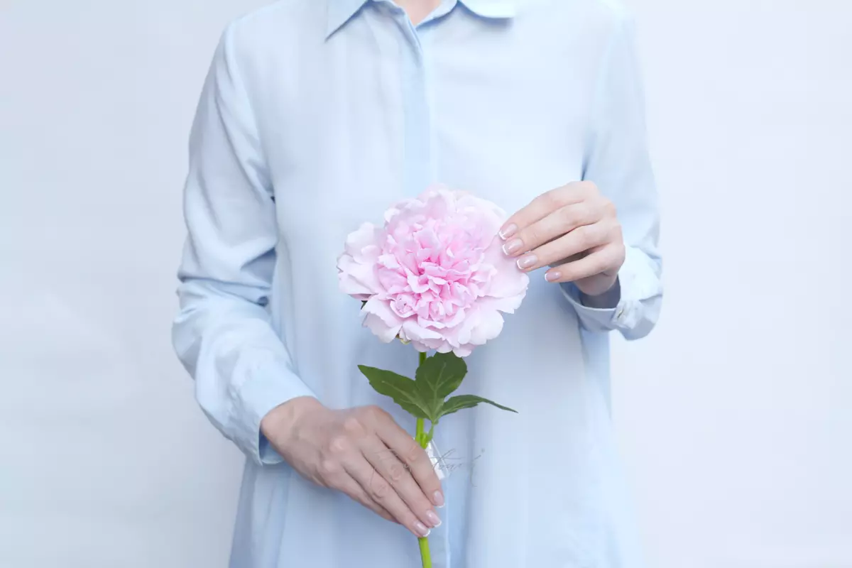 Пион Махровый - Светло-розовый Пион Махровый - Светло-розовый