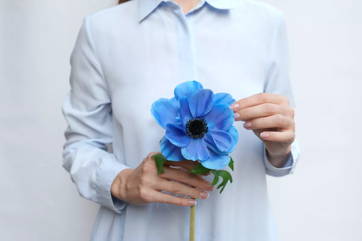 Анемона Де Каен - Синий Анемона Де Каен - Синий