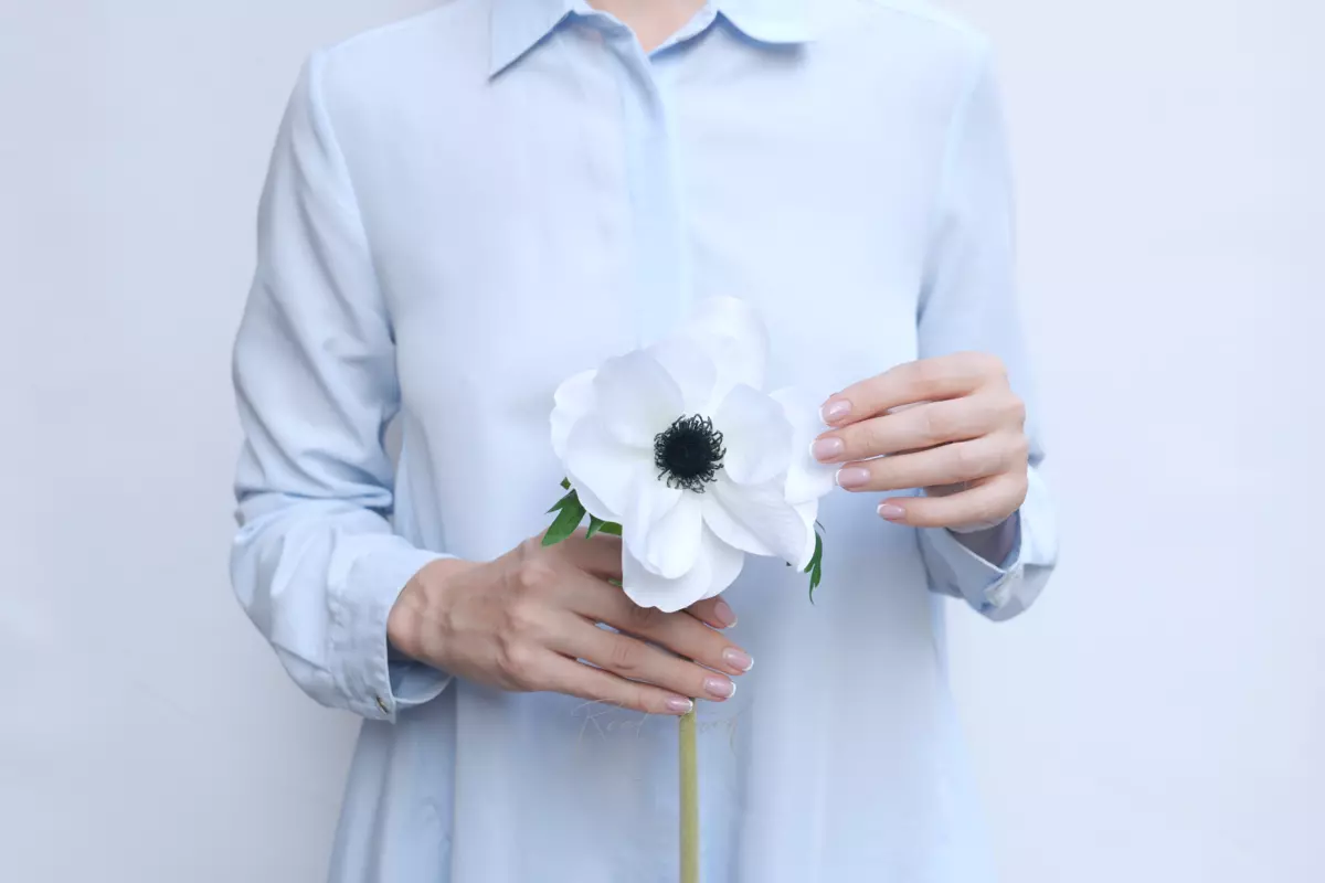 Анемона Де Каен - Белый Анемона Де Каен - Белый