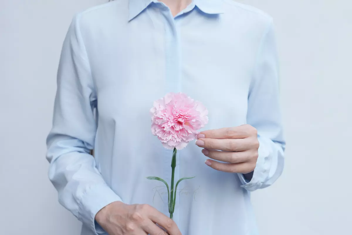 Гвоздика (Диантус) - Розовый