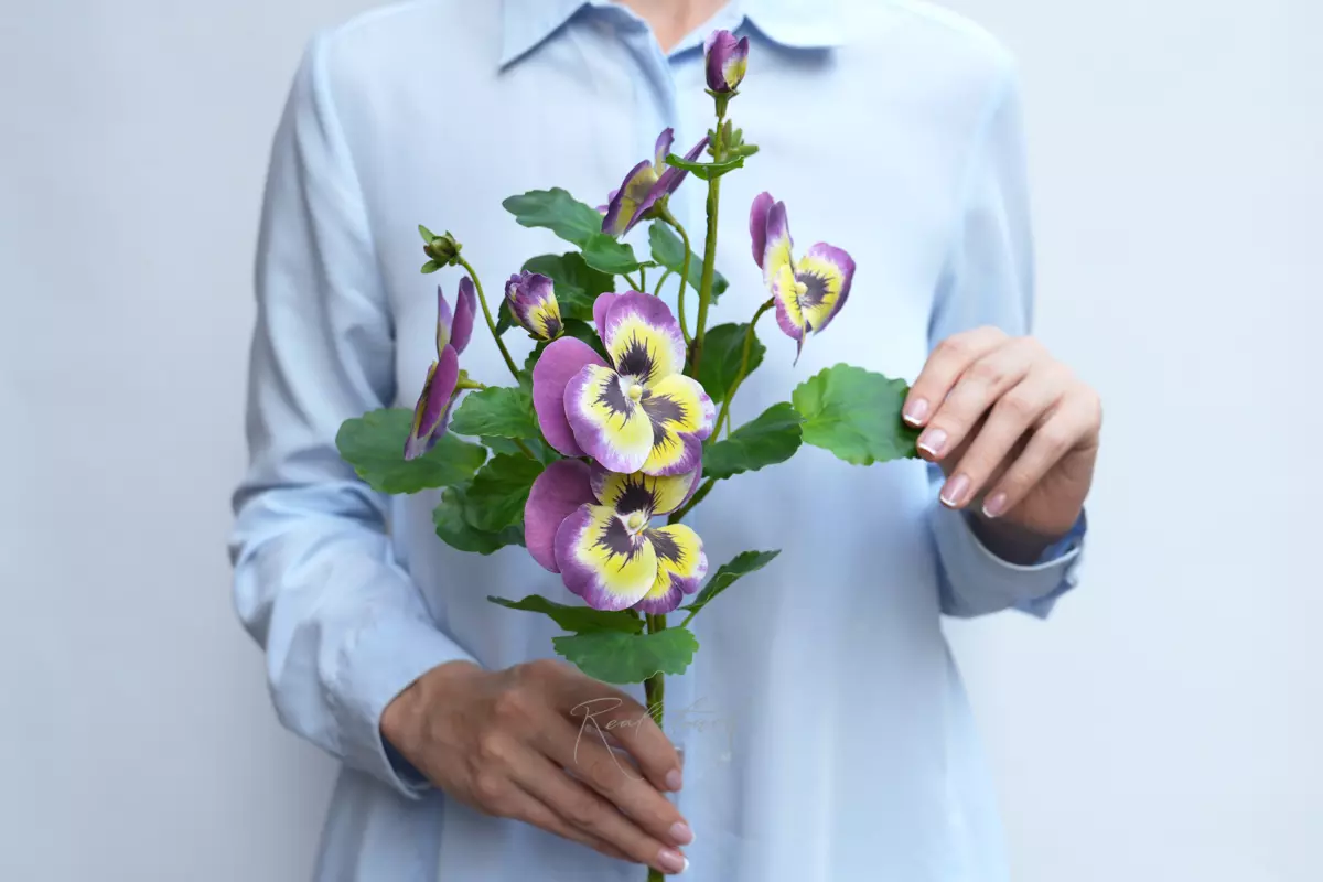 Анютины глазки - Фиолетовый