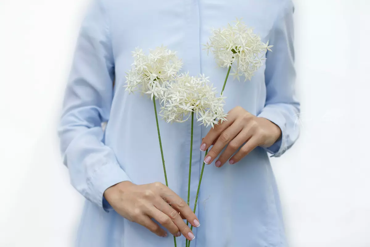 Аллиум с 3 соцветиями - Белый