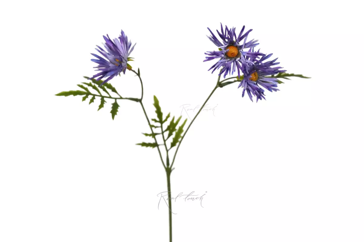 Хризантема Игольчатая small (3 соцветия) - Фиолетовый