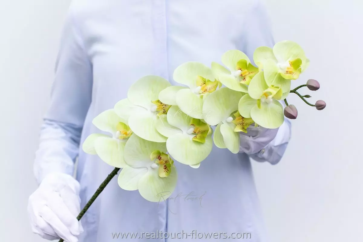 Орхидея 9 соцветий HQ - Светло-зеленый Орхидея 9 соцветий HQ - Светло-зеленый