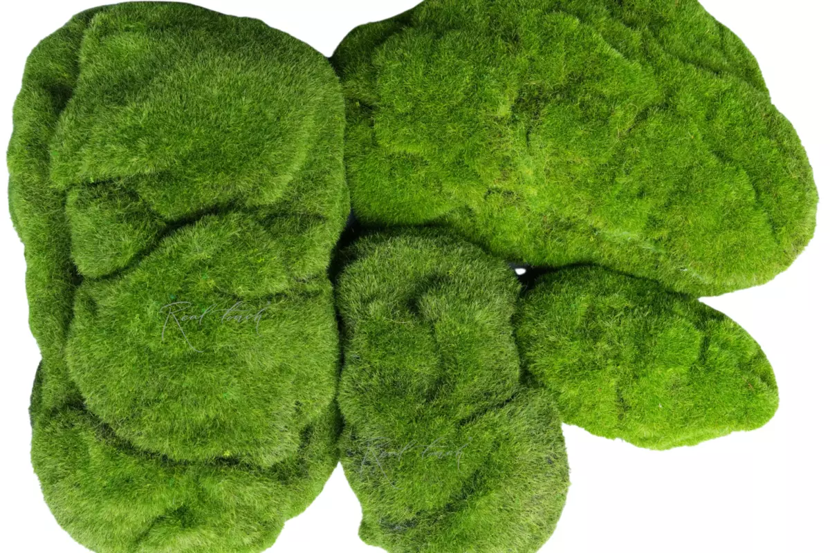 Кочки мха (набор из 4 шт) вид 2 - Зеленый