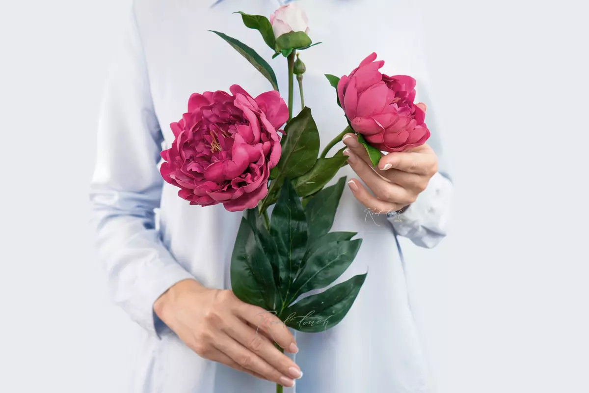 Пион древовидный (2 соцветия) - Малиновый Пион древовидный (2 соцветия) - Малиновый