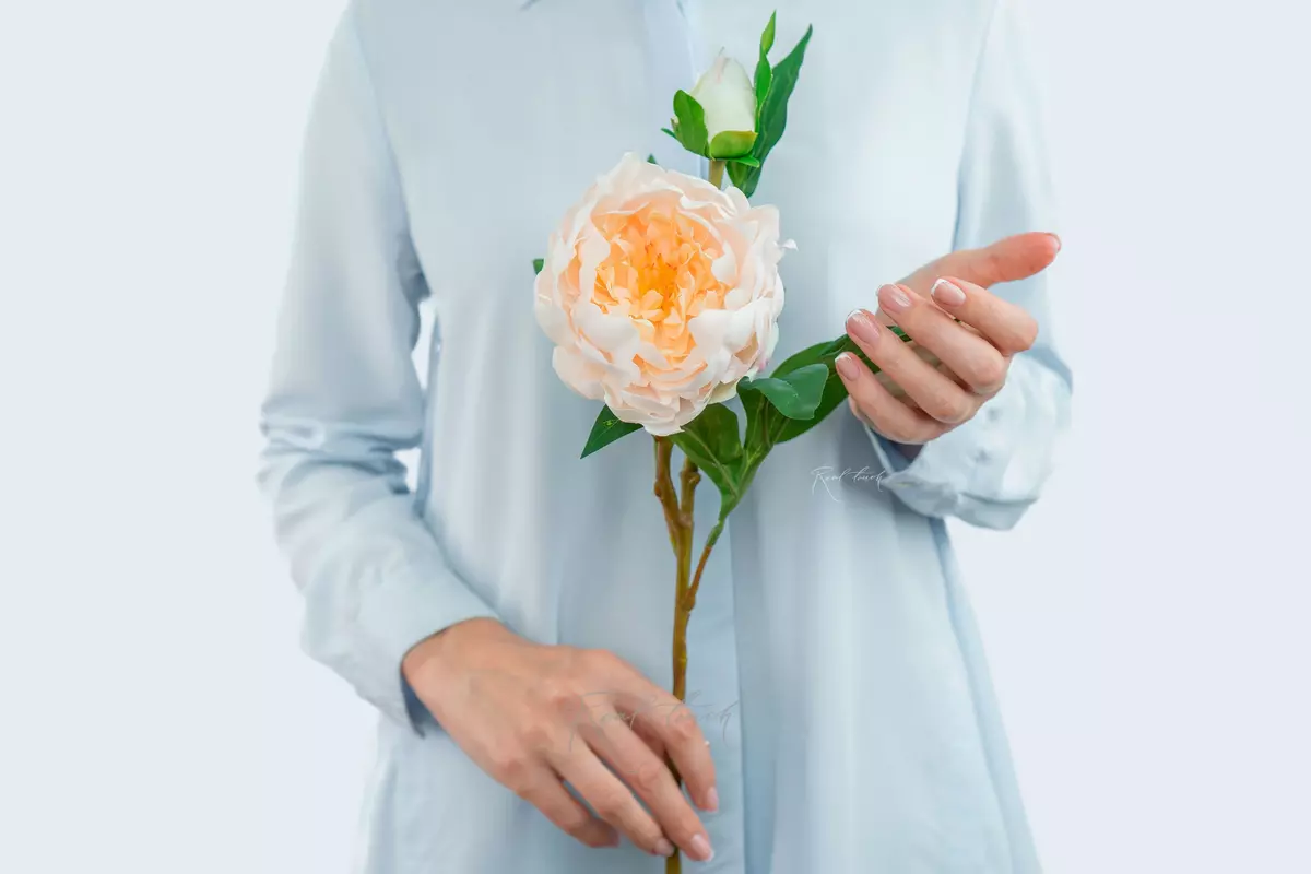 Пион древовидный (1 соцветие) - Светло-персиковый Пион древовидный (1 соцветие) - Светло-персиковый