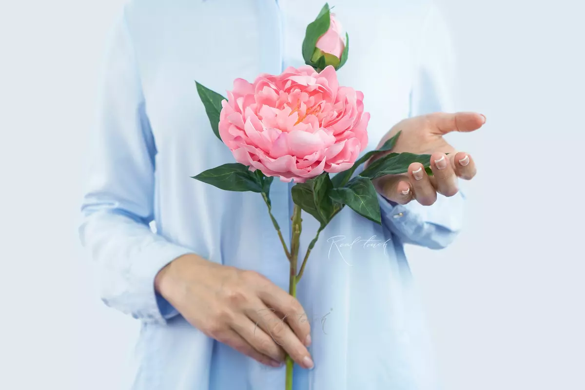 Пион древовидный (1 соцветие) - Светло-розовый Пион древовидный (1 соцветие) - Светло-розовый