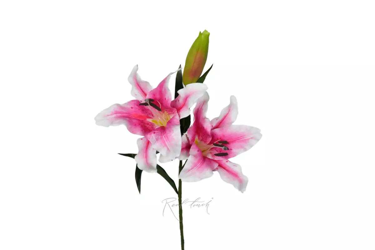 Тигровая лилия - Розовый