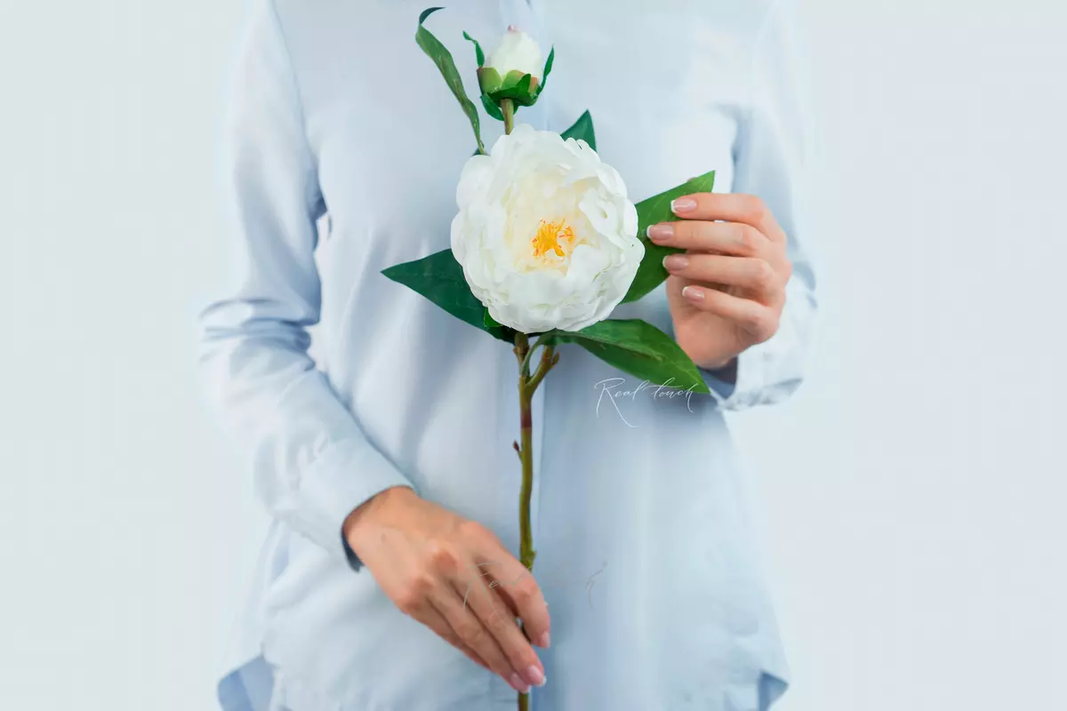 Пион древовидный (1 соцветие) - Белый