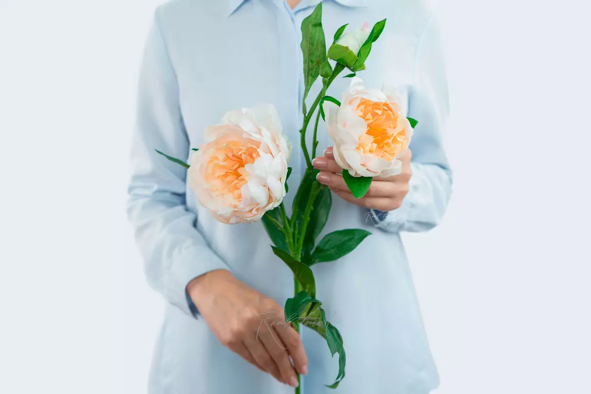 Пион древовидный (2 соцветия) - Светло-персиковый Пион древовидный (2 соцветия) - Светло-персиковый