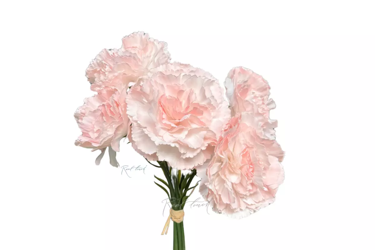 Букет Гвоздик из 5 шт - Светло-розовый