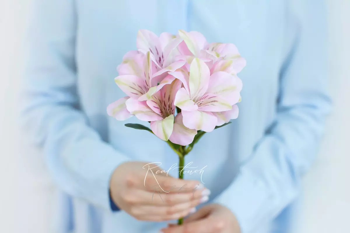 Альстромерия - Светло-розовый