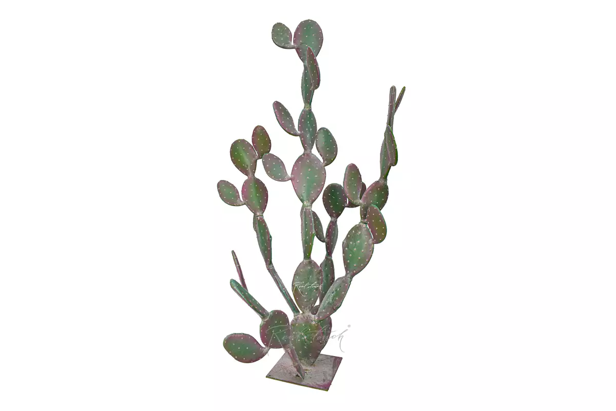 Кактус Опунция гигант 204см - Розовый Кактус Опунция гигант 204см - Розовый