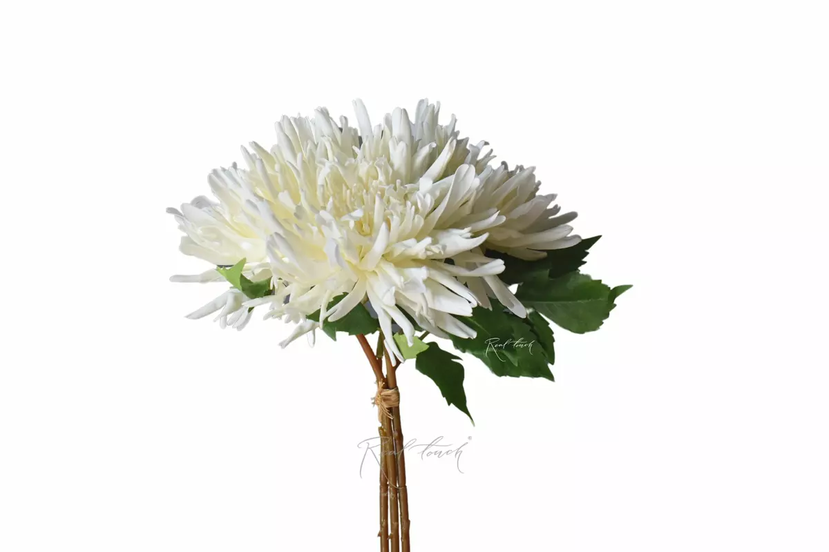 Букет Махровых хризантем из 3 шт - Белый Букет Махровых хризантем из 3 шт - Белый