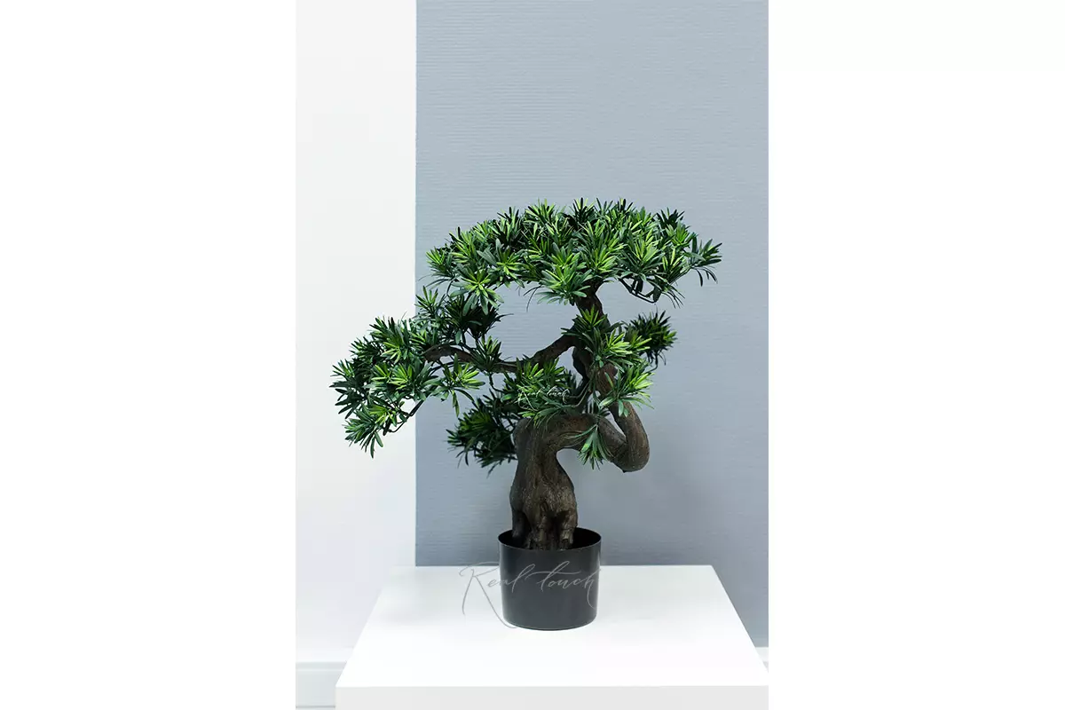 Бонсай листовой в. 58 см/ ш. 55 см (черный ствол) - Зеленый