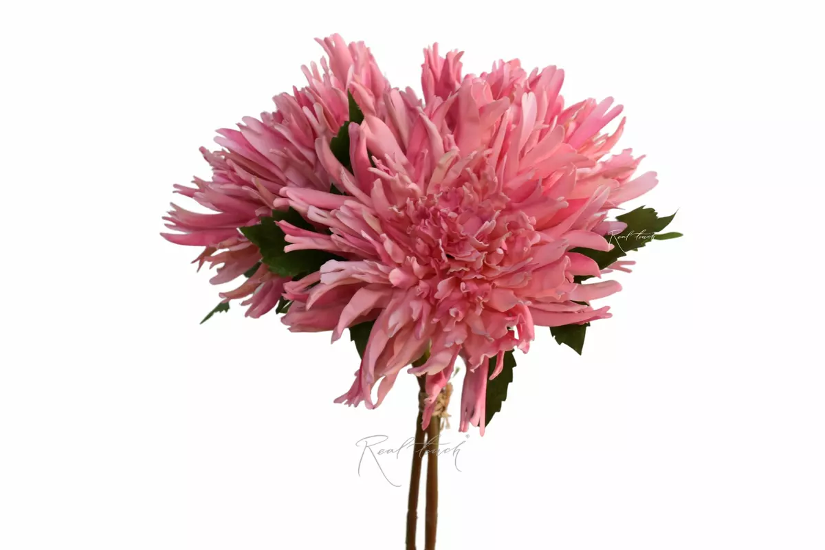 Букет Махровых хризантем из 3 шт - Розовый