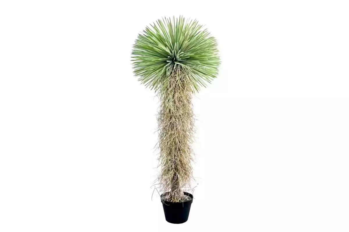 Юкка клювовидная 210см в кашпо - Зеленый Юкка клювовидная 210см в кашпо - Зеленый