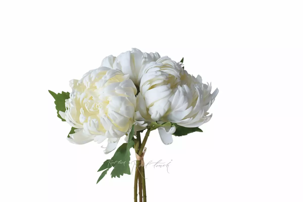 Букет хризантем Венский бал из 3 шт - Белый