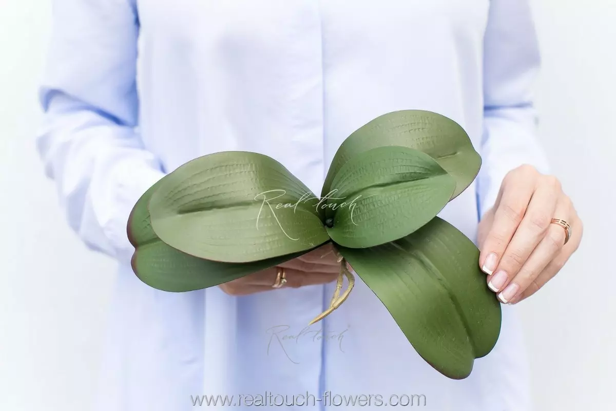 Листья Орхидеи 25 см - Зеленый