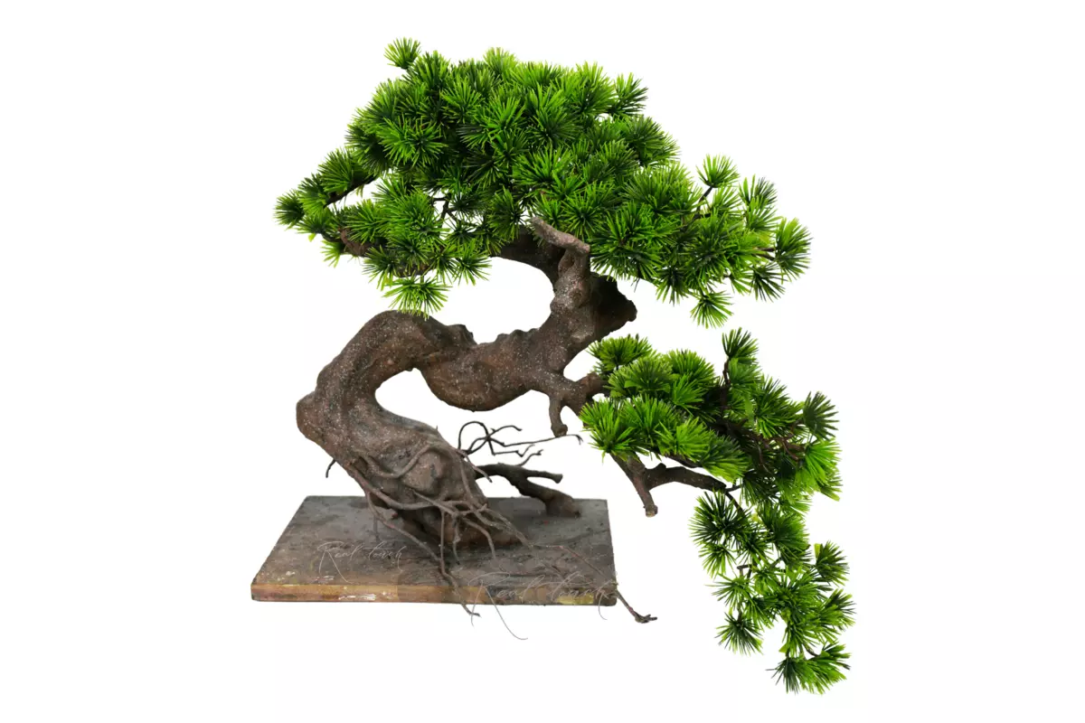 Бонсай в. 55 см/ ш. 60 см - Зеленый