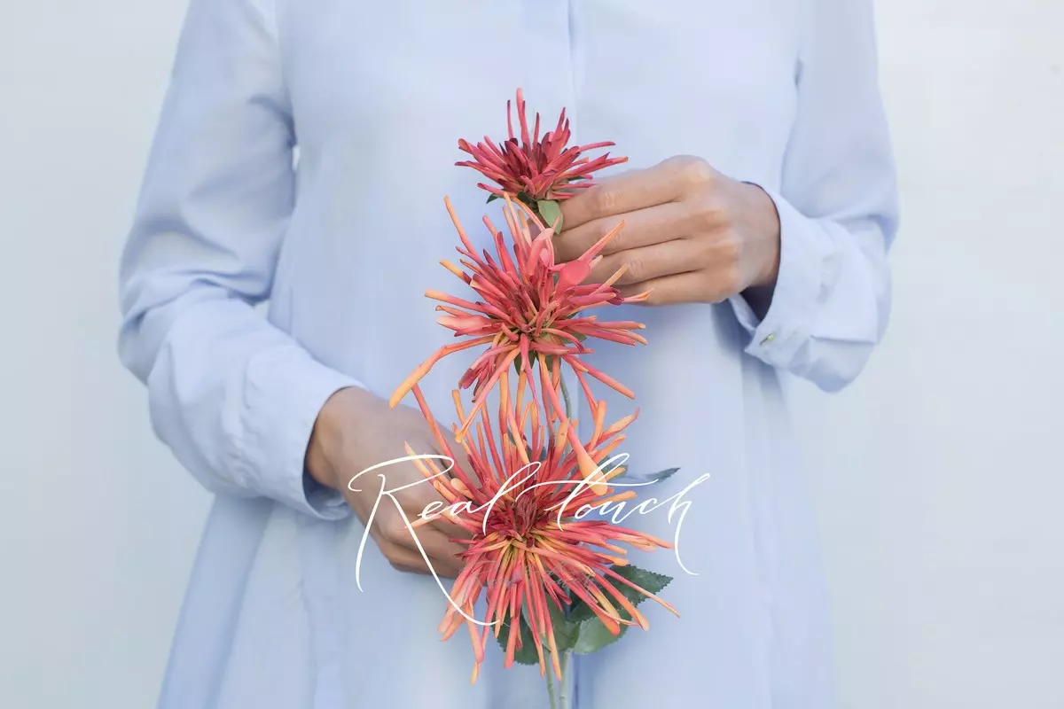 Хризантема 3 соцветия - Персиковый