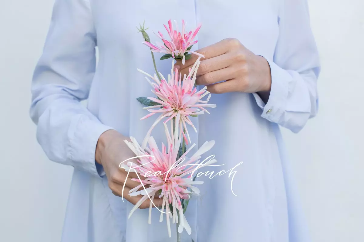 Хризантема 3 соцветия - Светло-розовый