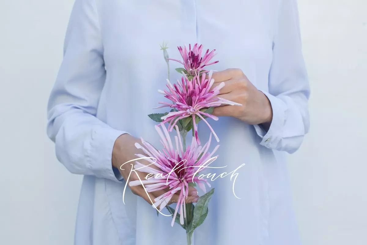 Хризантема 3 соцветия - Фуксия