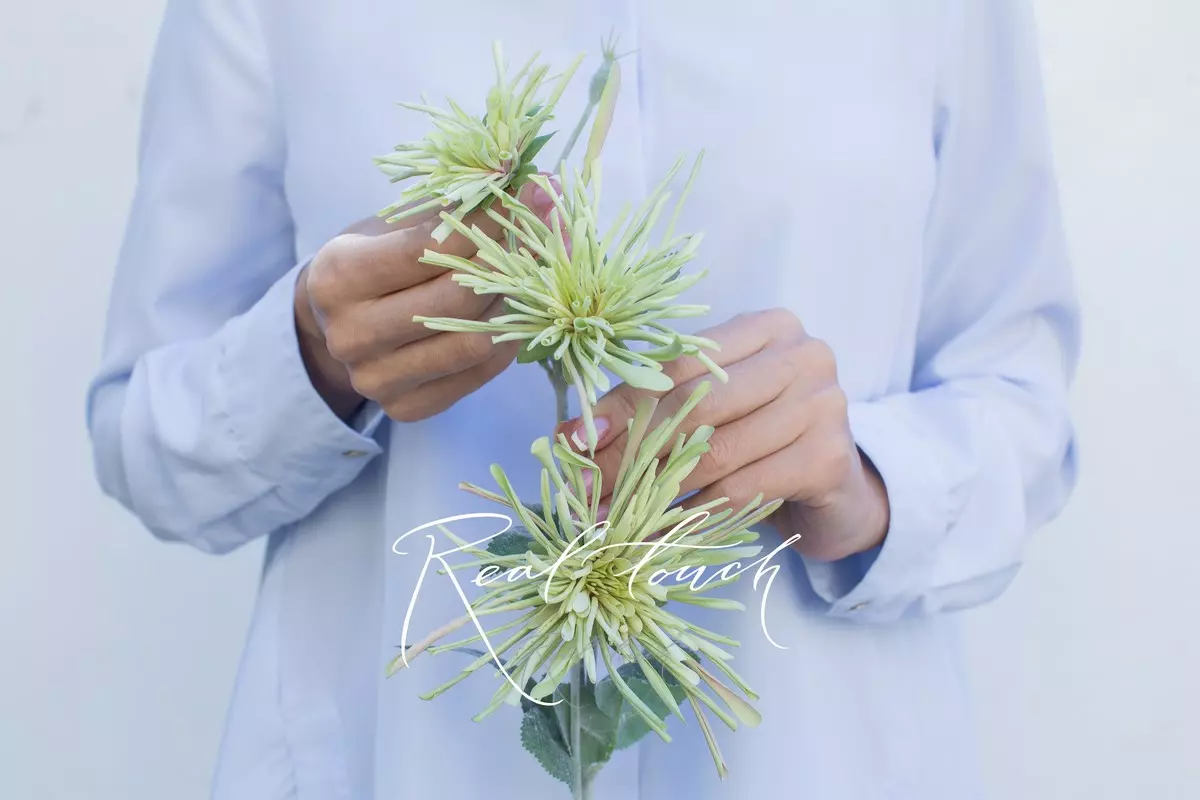 Хризантема 3 соцветия - Зеленый