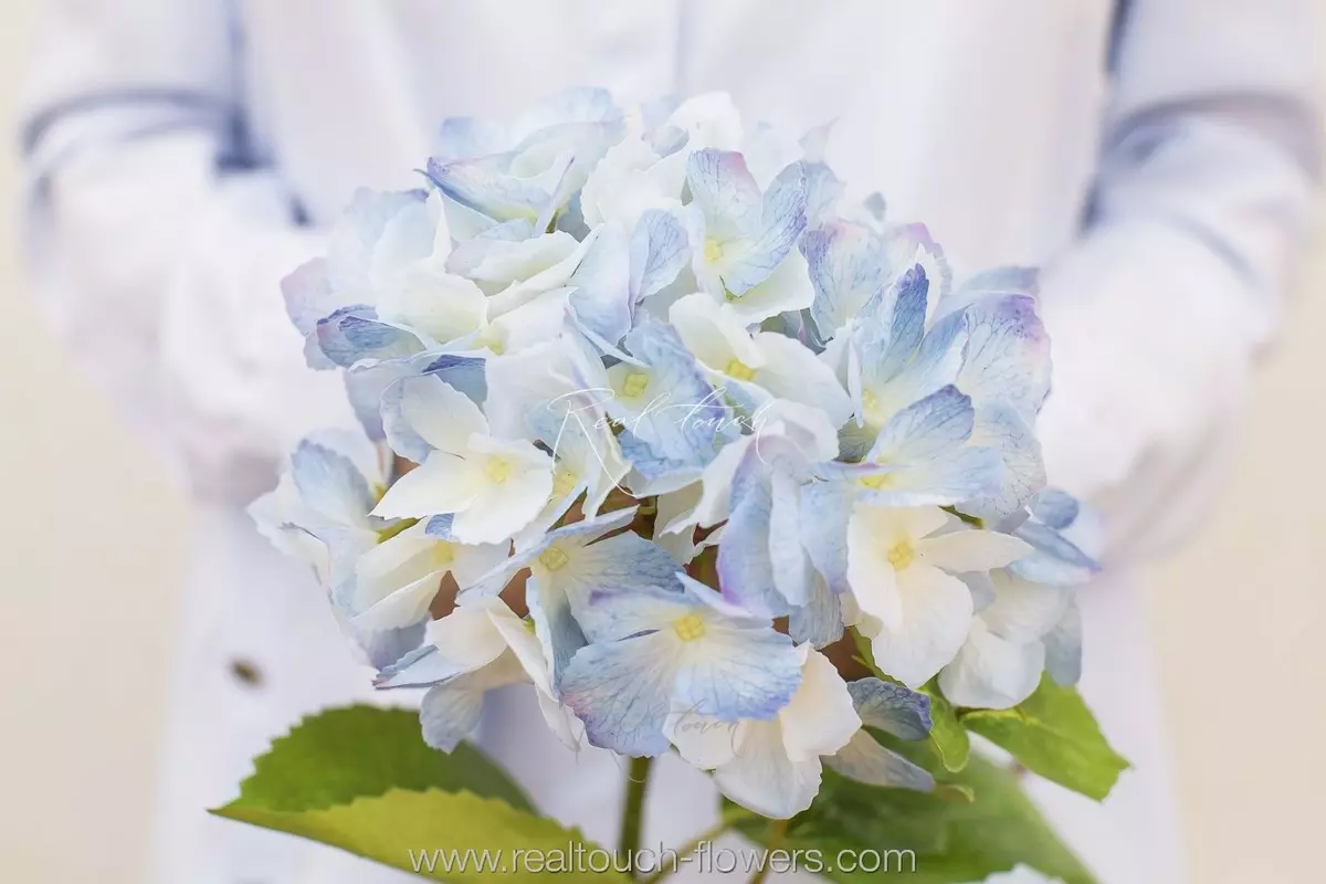 Гортензия с зубчиками на стебле - Синий