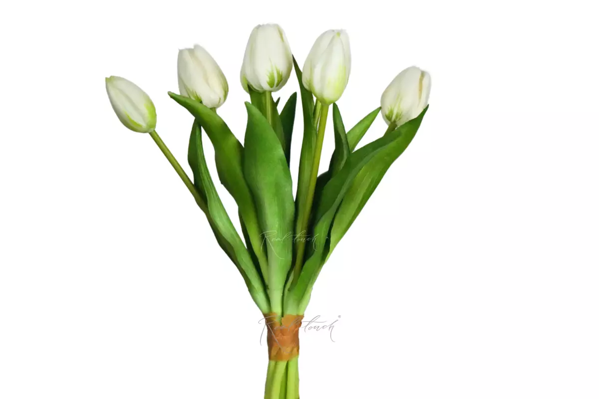 Букет тюльпанов 4+3  - Белый