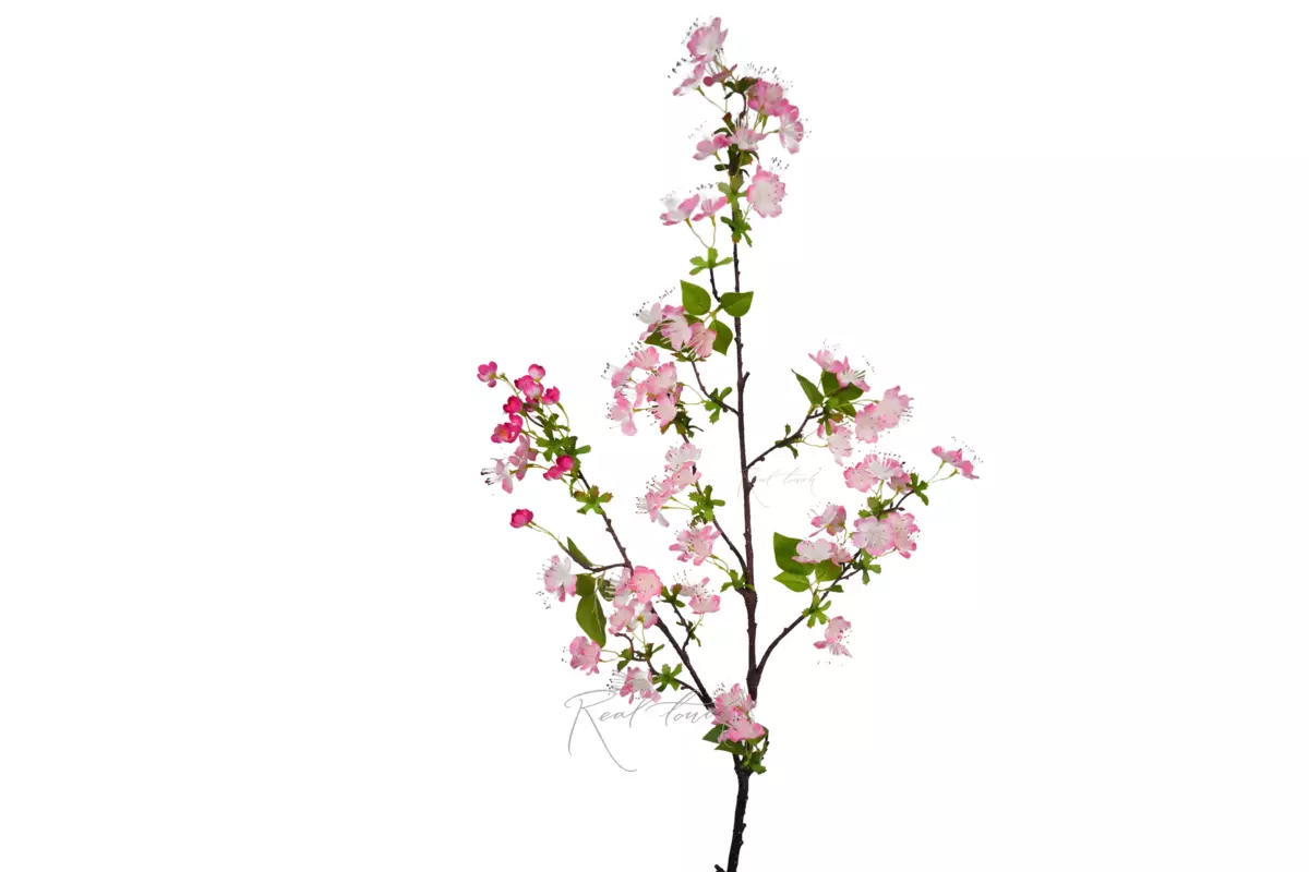 Ветка цветущей груши - Розовый