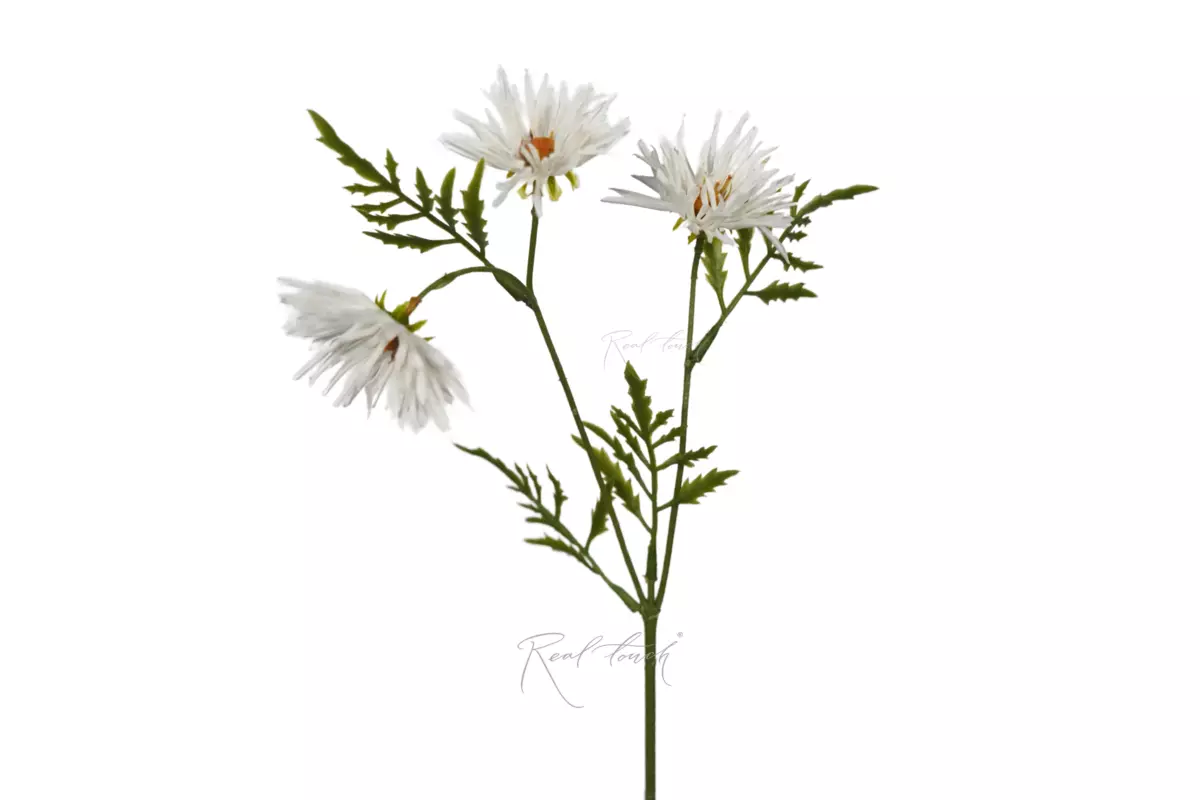 Хризантема Игольчатая small (3 соцветия) - Белый