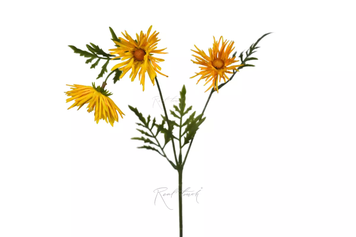 Хризантема Игольчатая small (3 соцветия) - Желтый