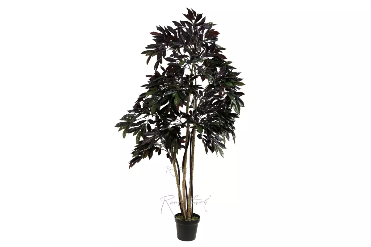 Красный Фикус 180см - Красный