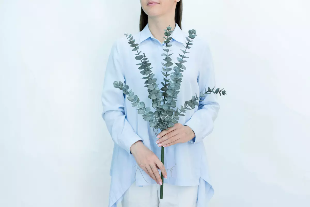 Эвкалипт BABY BLUE куст - Пыльно-зеленый Эвкалипт BABY BLUE куст - Пыльно-зеленый