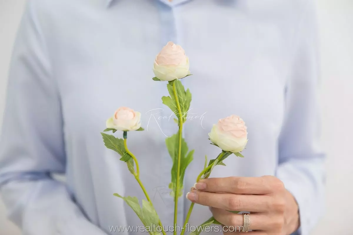 Ранункулюс 2+1  - Зелено-розовый