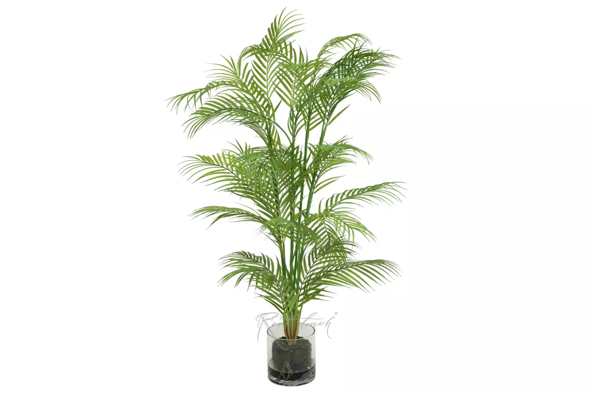Пальма Арека 125см в стеклянном кашпо - Зеленый Пальма Арека 125см в стеклянном кашпо - Зеленый
